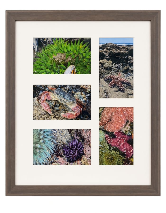 Framed family portrait with double mat